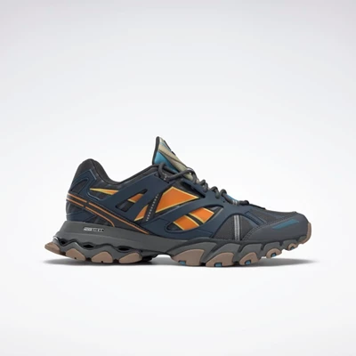 Botasky Reebok DMX Trailove Shadow Panske Grey/Indigo/Orange | AJZQPS769