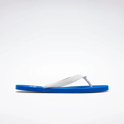 Classics Reebok Cash Flip-Flops Panske Blue/White/Blue | HEDYCM934